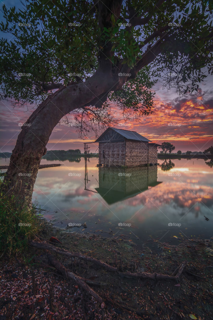 lonely house in pond during sunrise