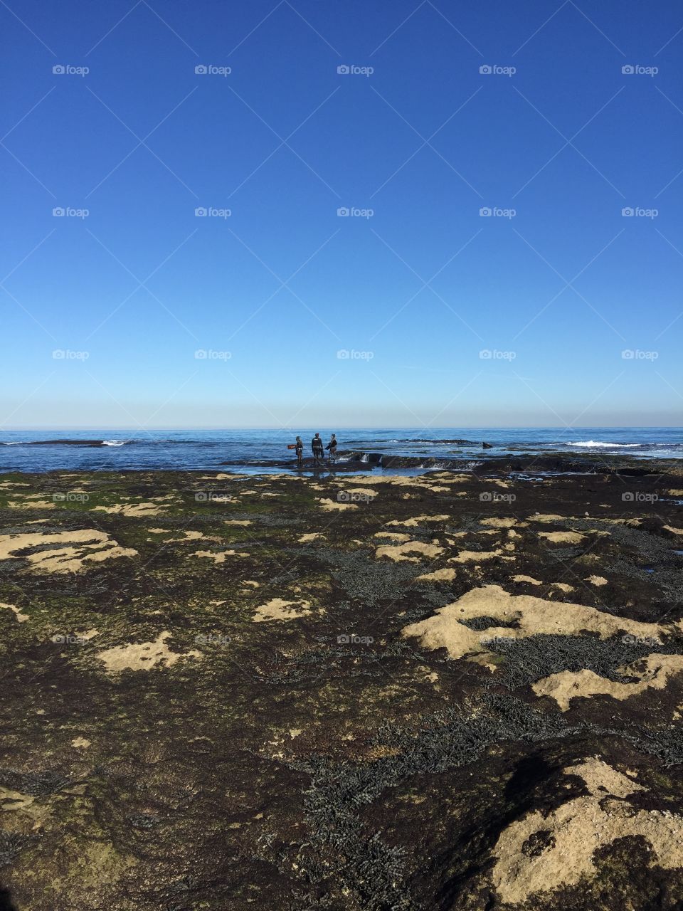 Water, Sea, Beach, Landscape, Seashore