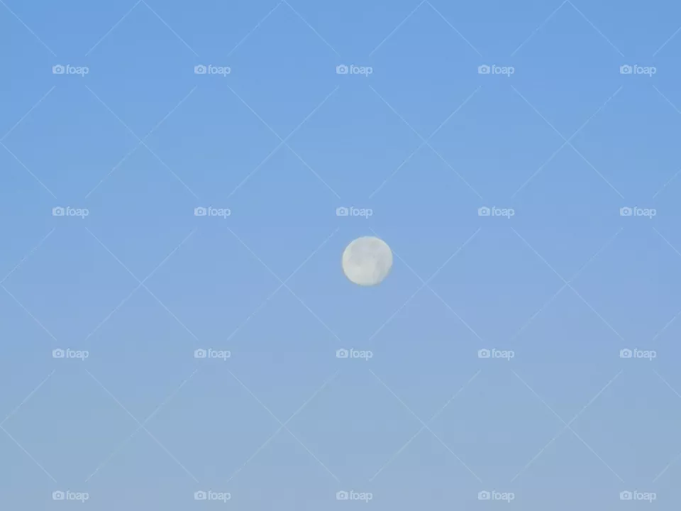 The moon
