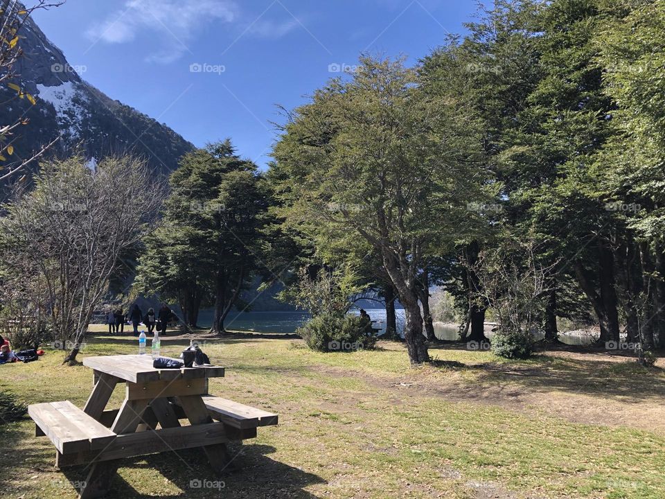 Bariloche Picnic Sur Descanso Vacaciones Verde Montañas Banco