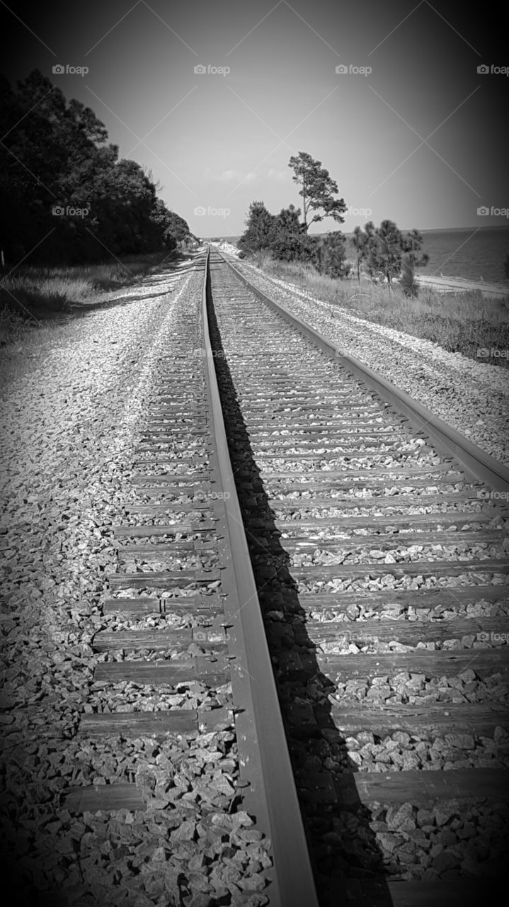 railroad grayscale