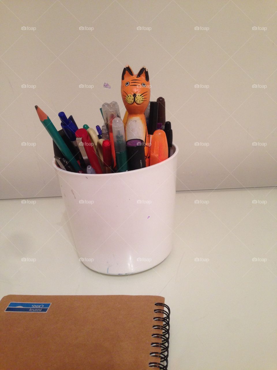 Pencils and cat pencil
