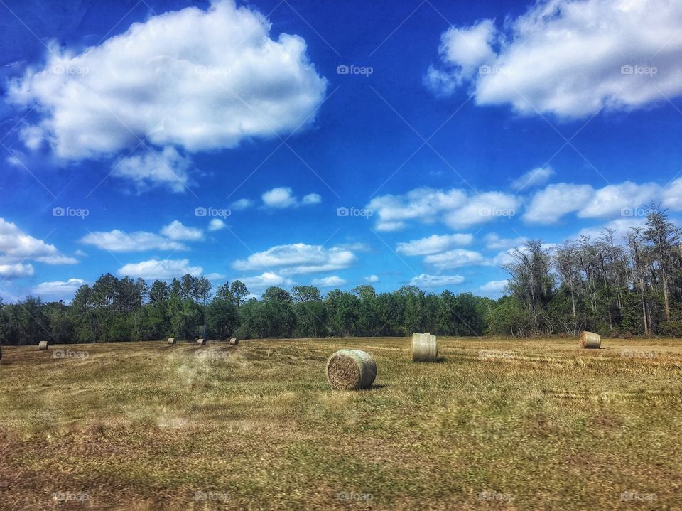 A farmers life of hay bales 