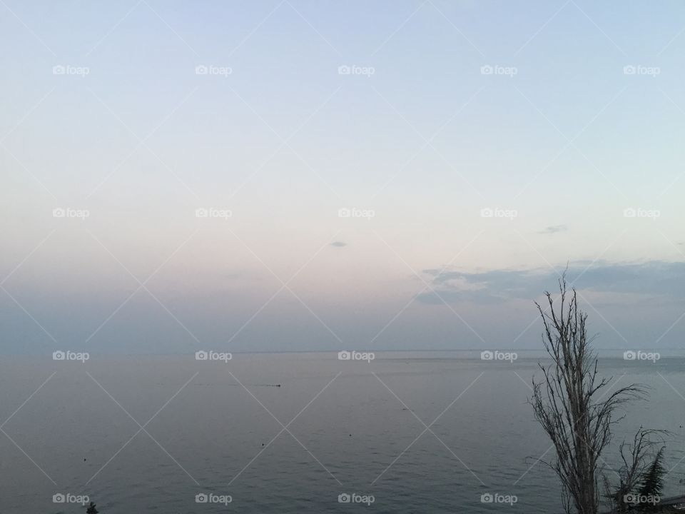 Loneliness ... a lonely tree without leaves against the backdrop of a calm sea at dusk