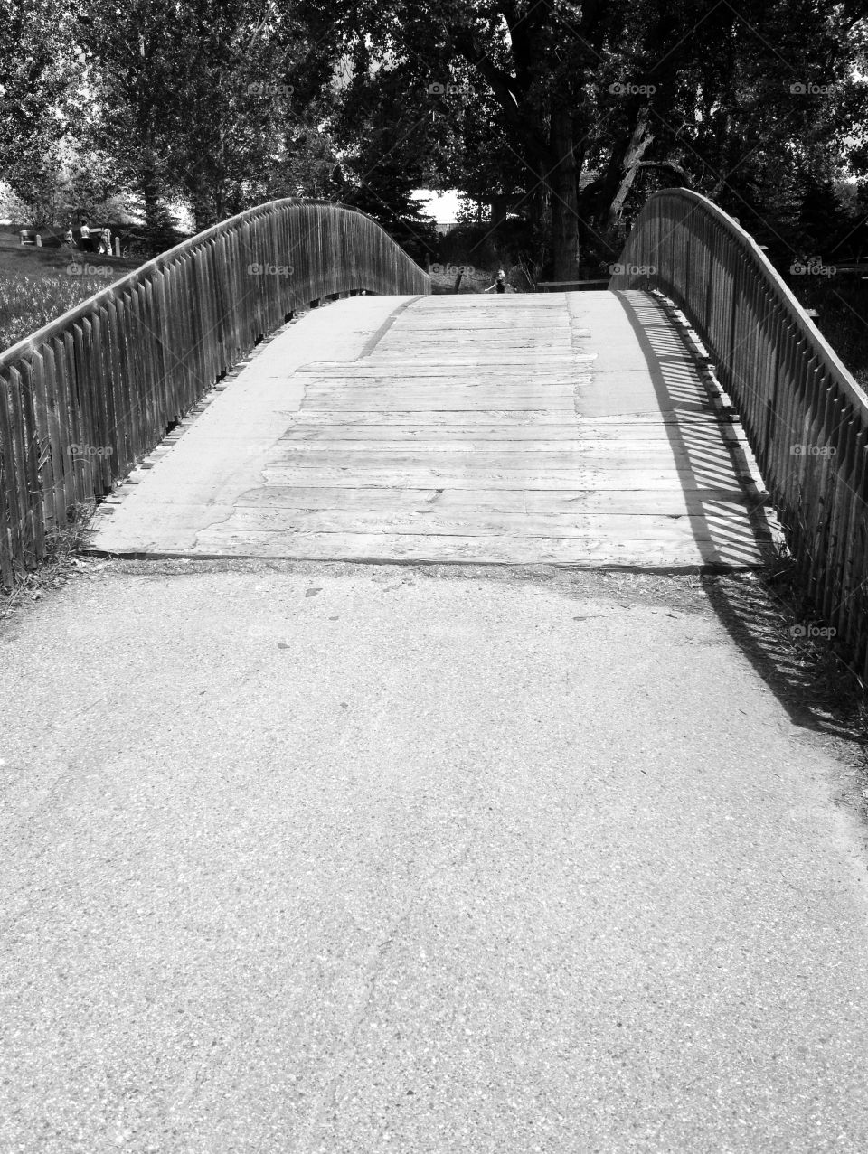 Wood walking bridge. Zoo walking wood bridge