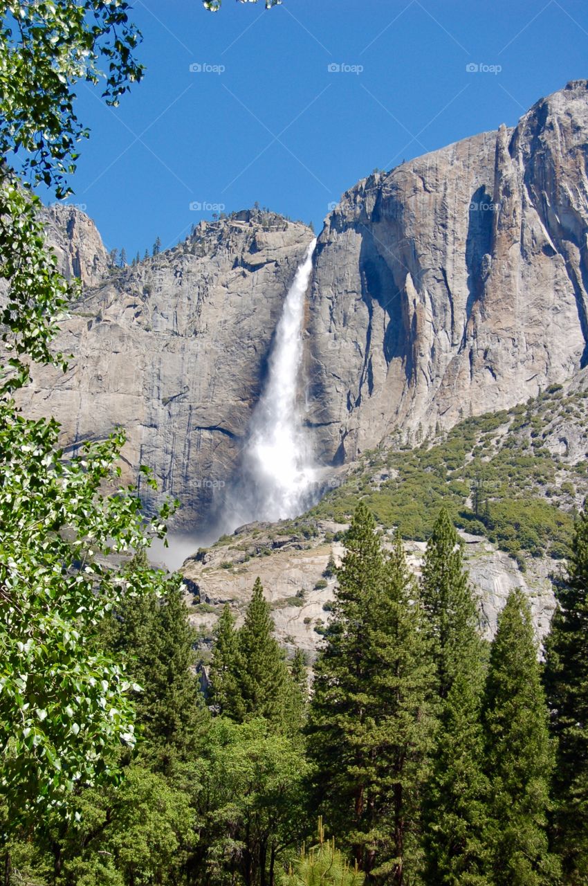 Yosemite Waterfall 