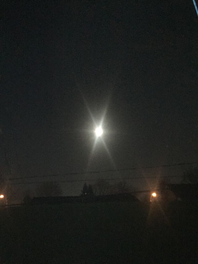 The moon