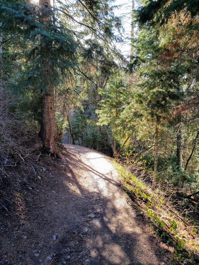 trail