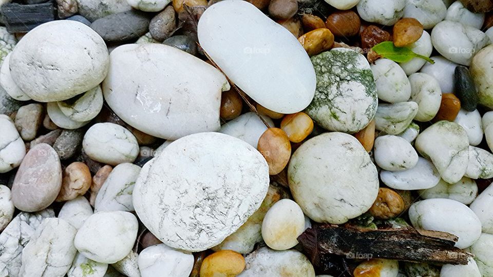 rock. Rock on garden