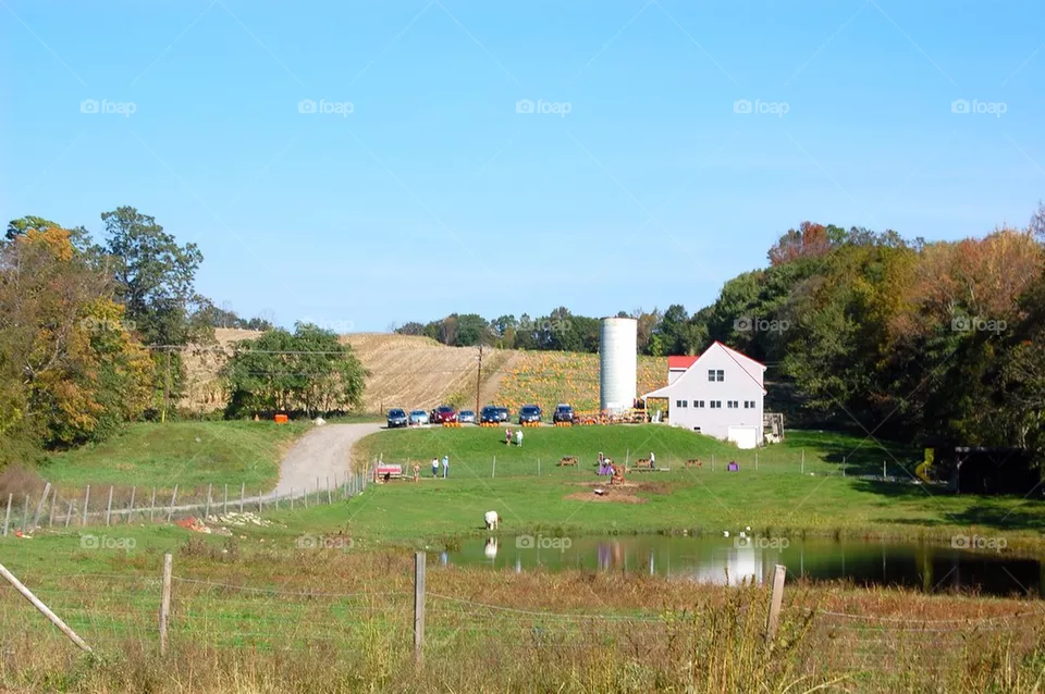 Farm
