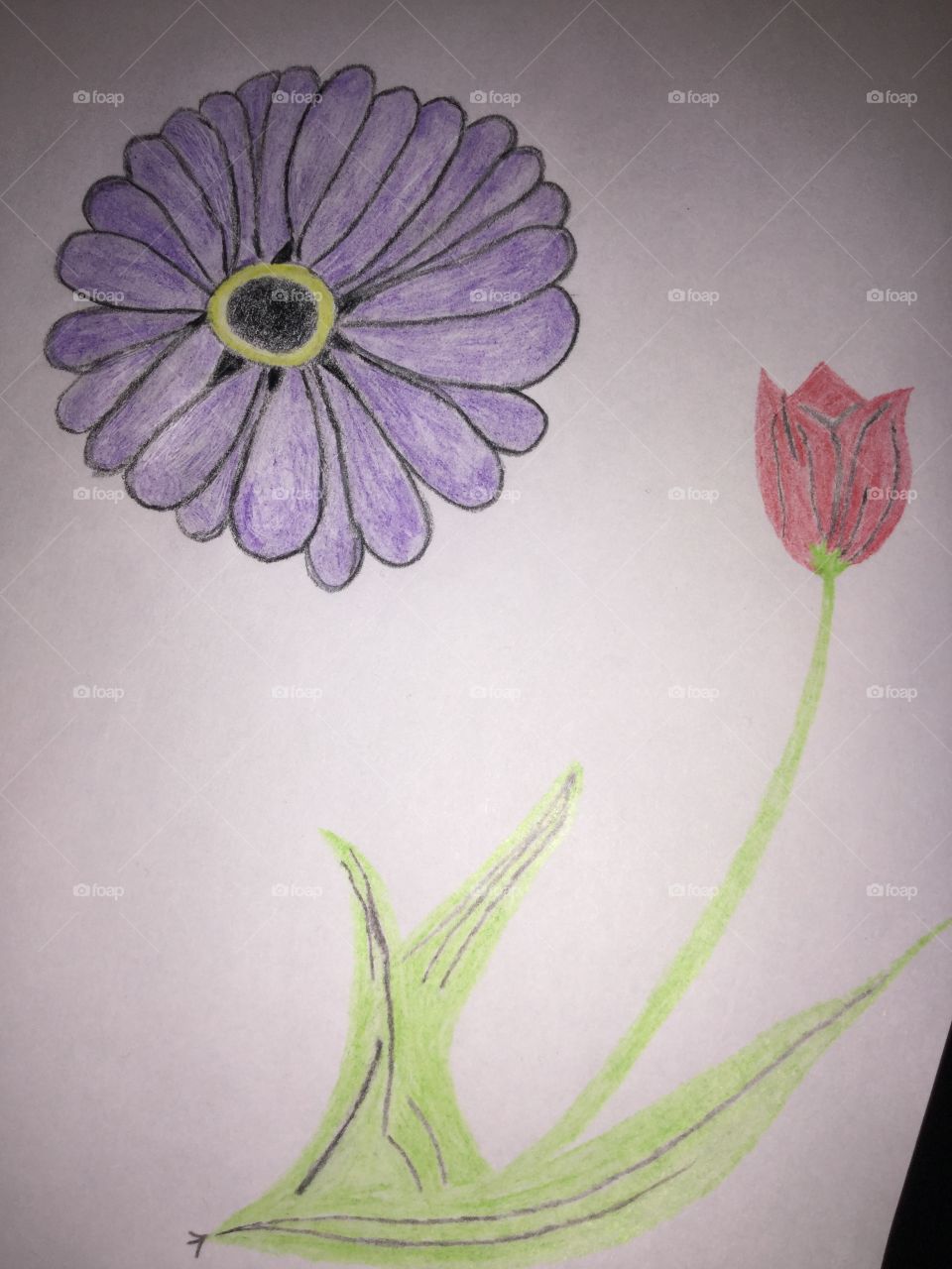 Hand Drawn Flower Art I did for Fun 