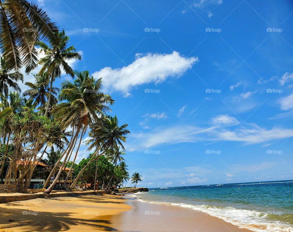 beach feeling free