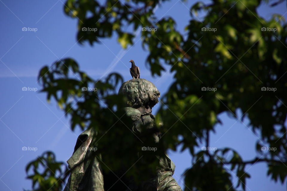 bird through the trees on a statue