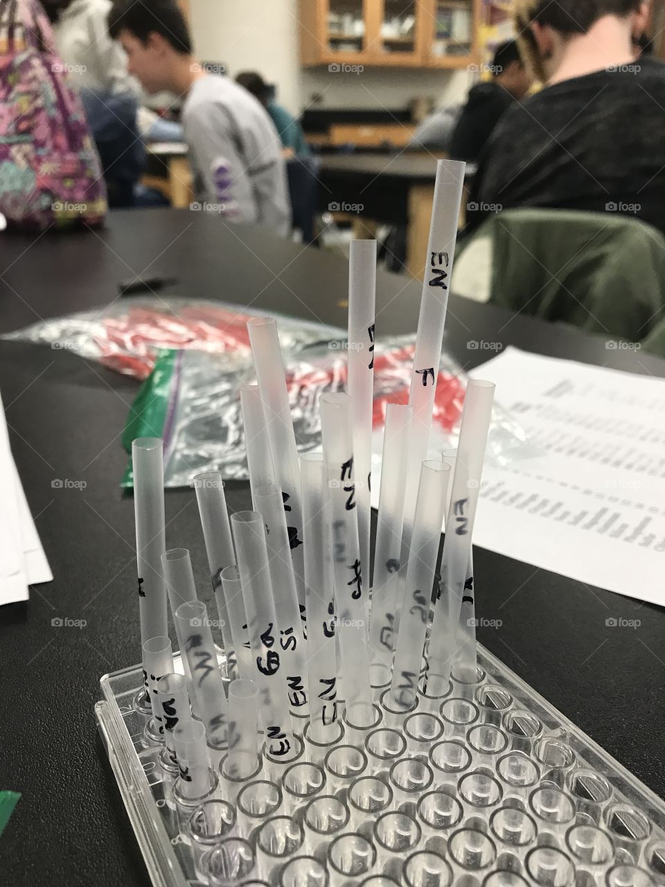 Various cut and labelled straws in a holder in a science classroom as part of a chemistry project