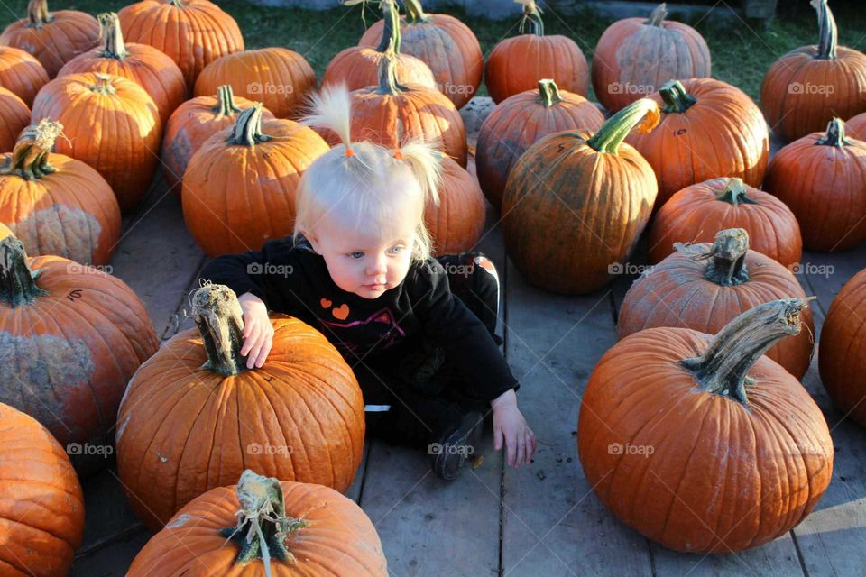 Pumpkin chilling with pumpkins