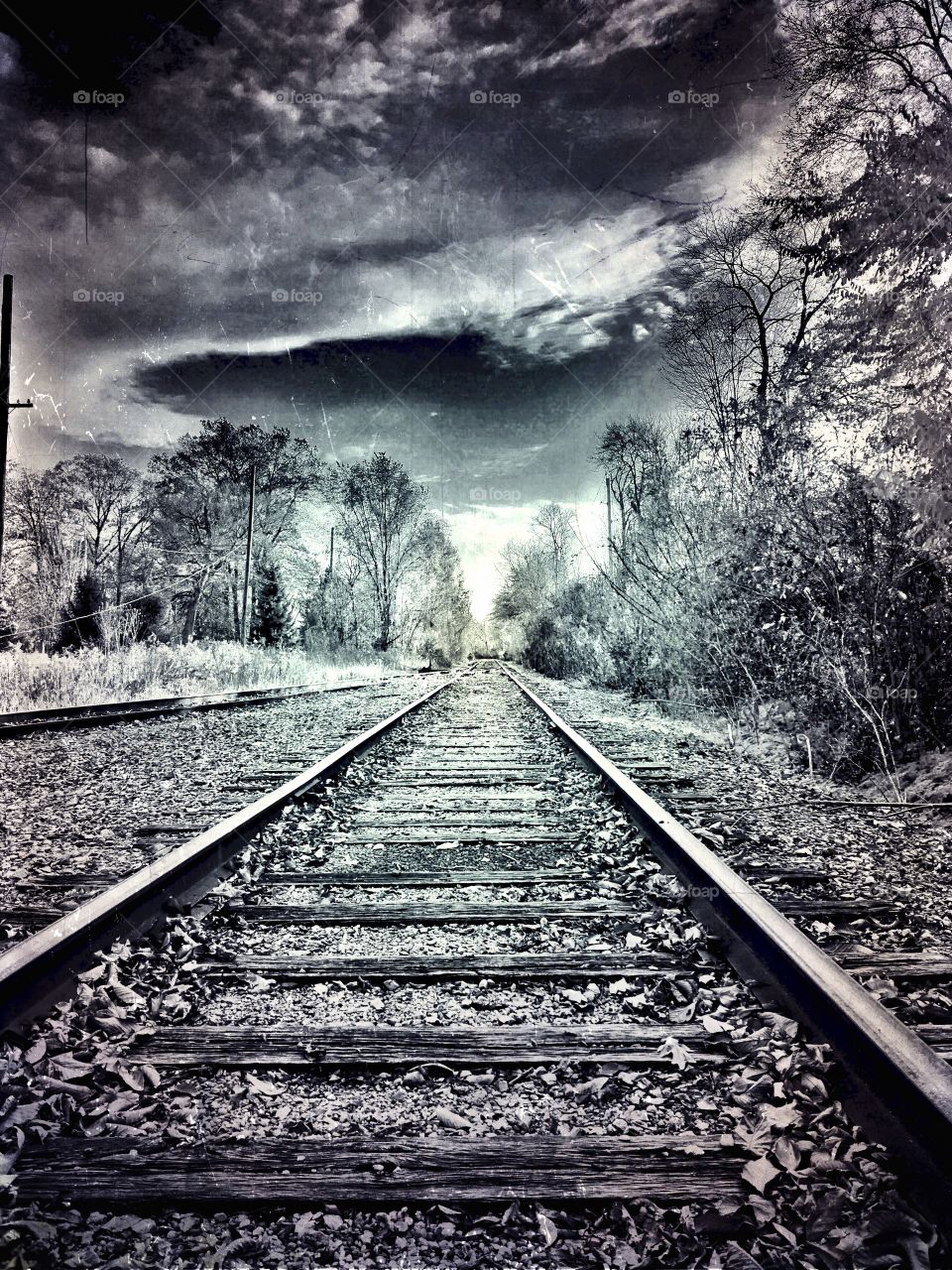 Old railroad 