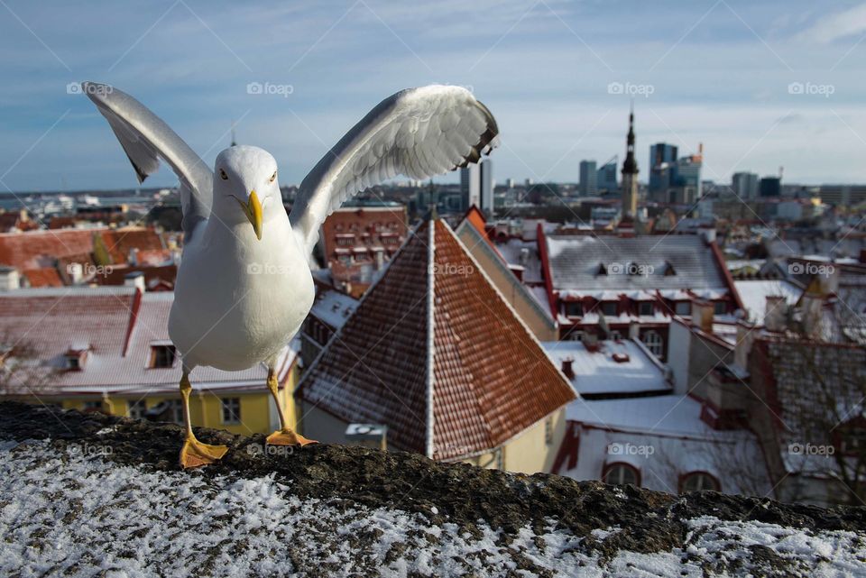 Tallinn, Estonia