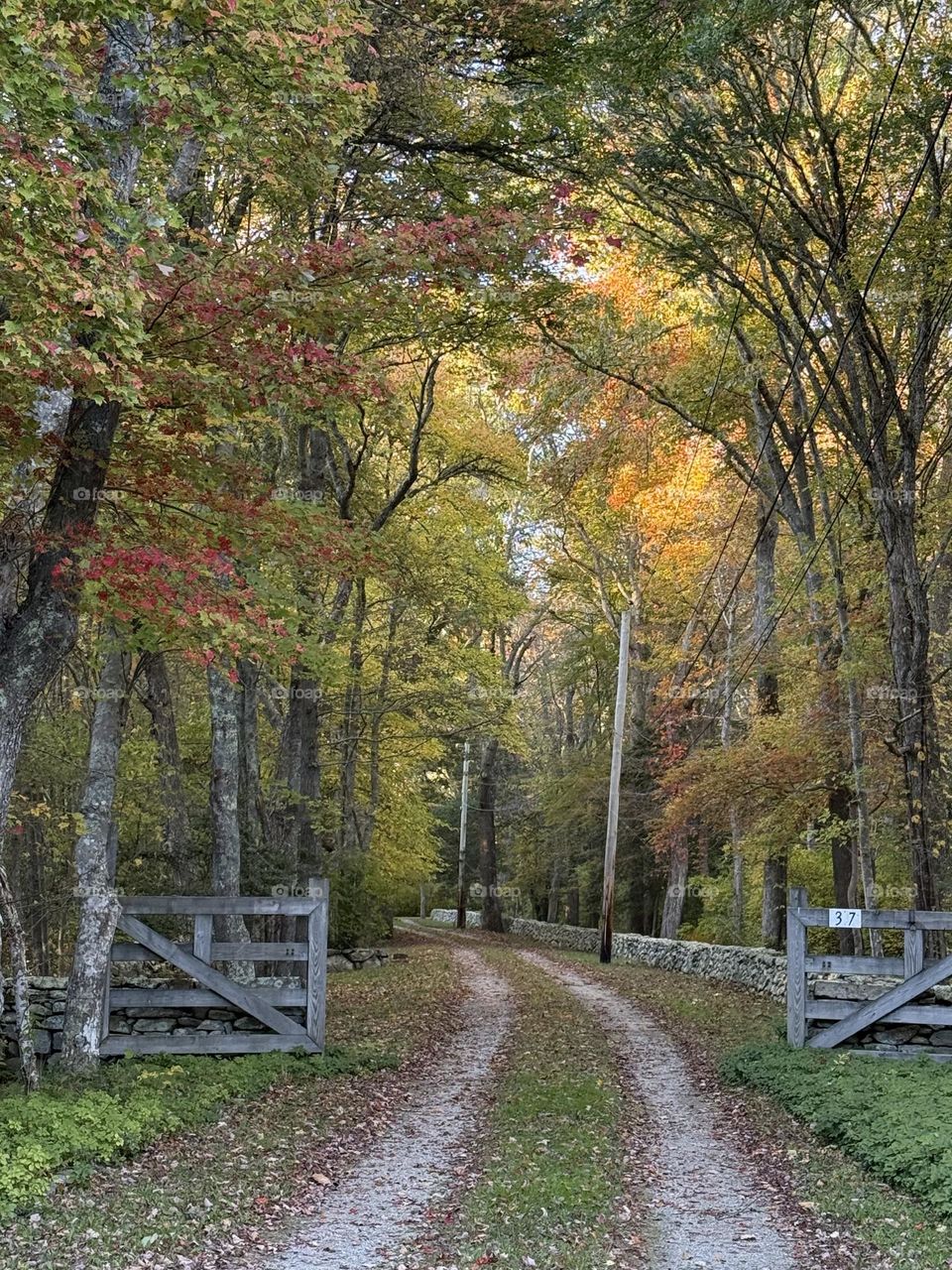 A Beautiful Autumn Day