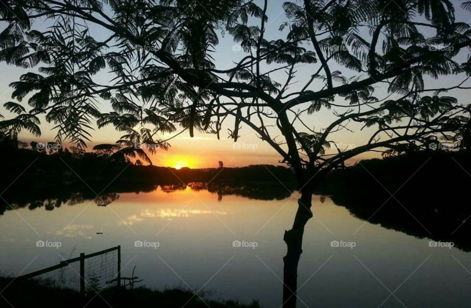 The mystery of the lake