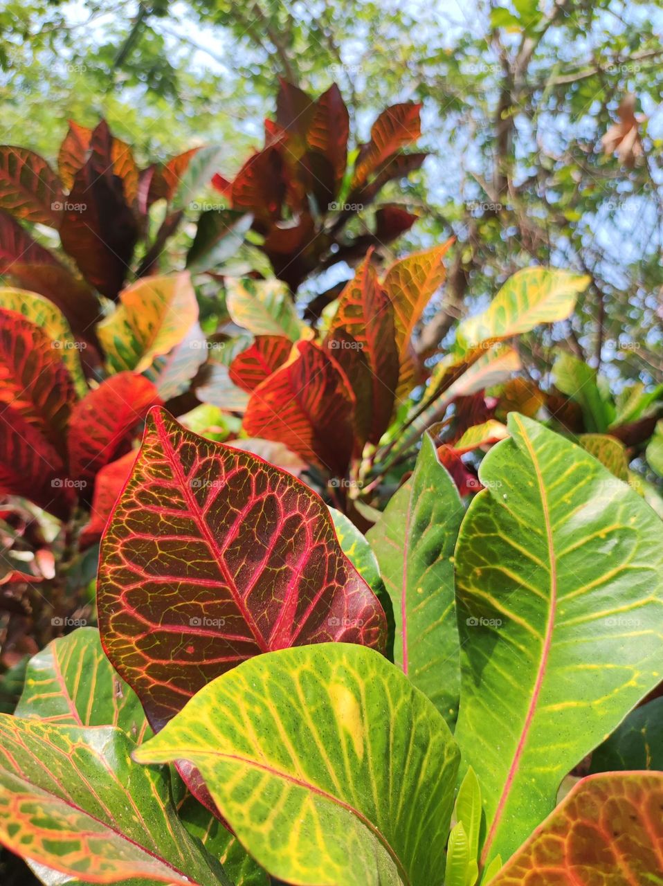 Part of beautiful nature around the corner