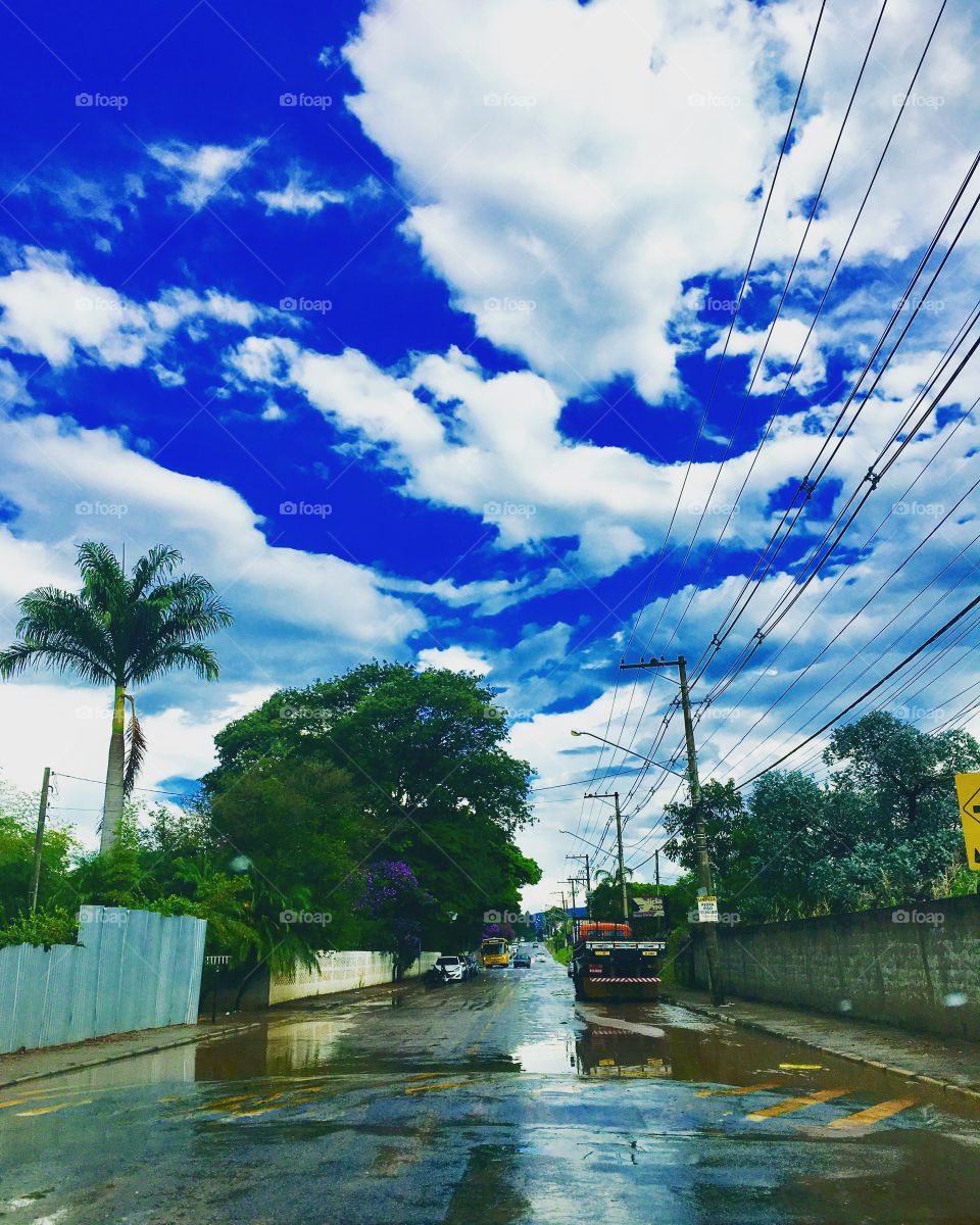 #Sol e #Chuva. Como ficaremos o resto do dia?
☀️🌧
#paisagem
#natureza
#azul
#verde
#fotografia