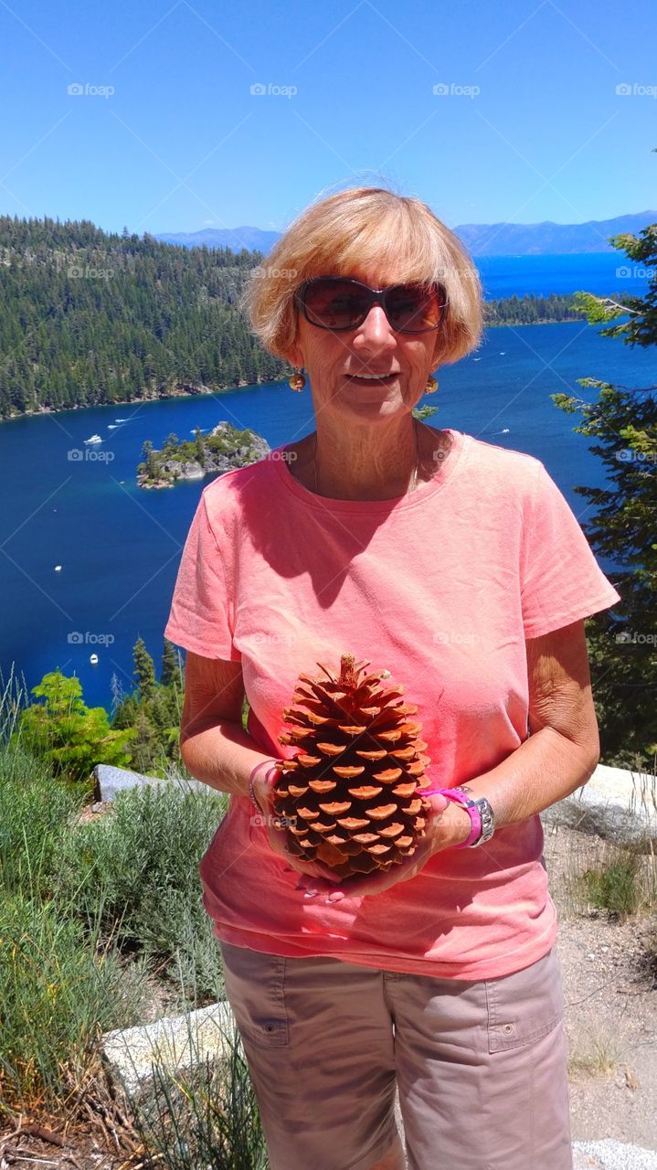 huge pinecone