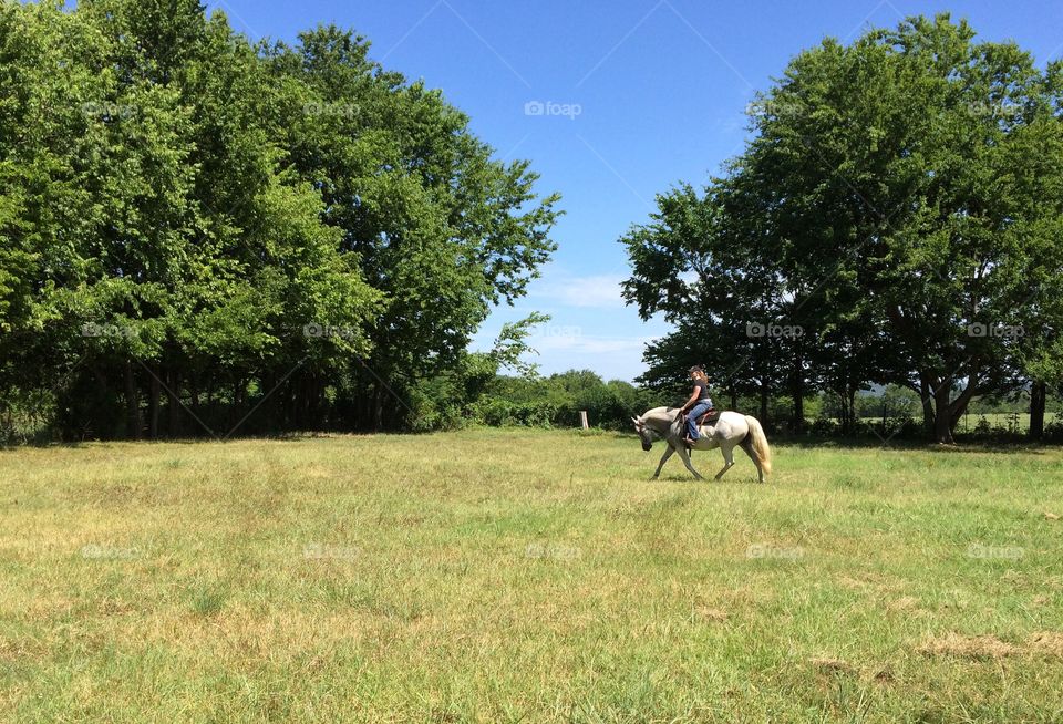 Small grey mare trotting with rider in a cut grassy field with trees