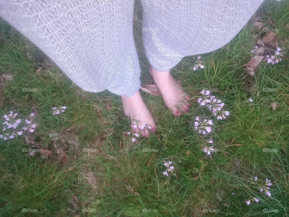 My feet in the grass and flowers on April 21st 2019