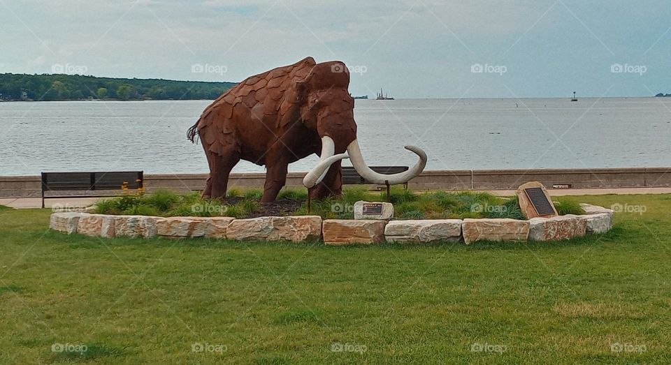 Wooley Mammoth