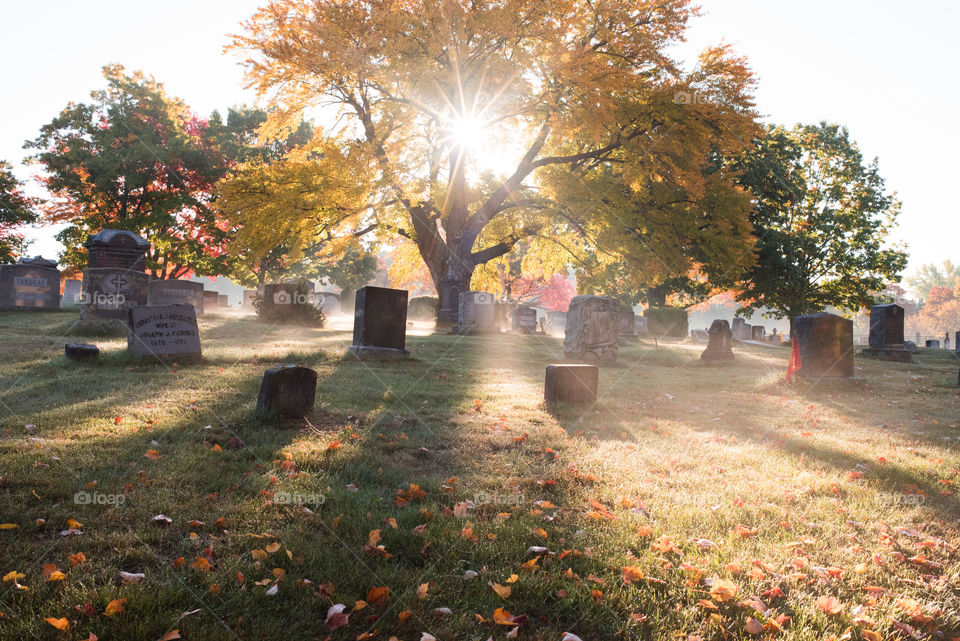 Sunlight streaks through the fall foliage in a graveyard
