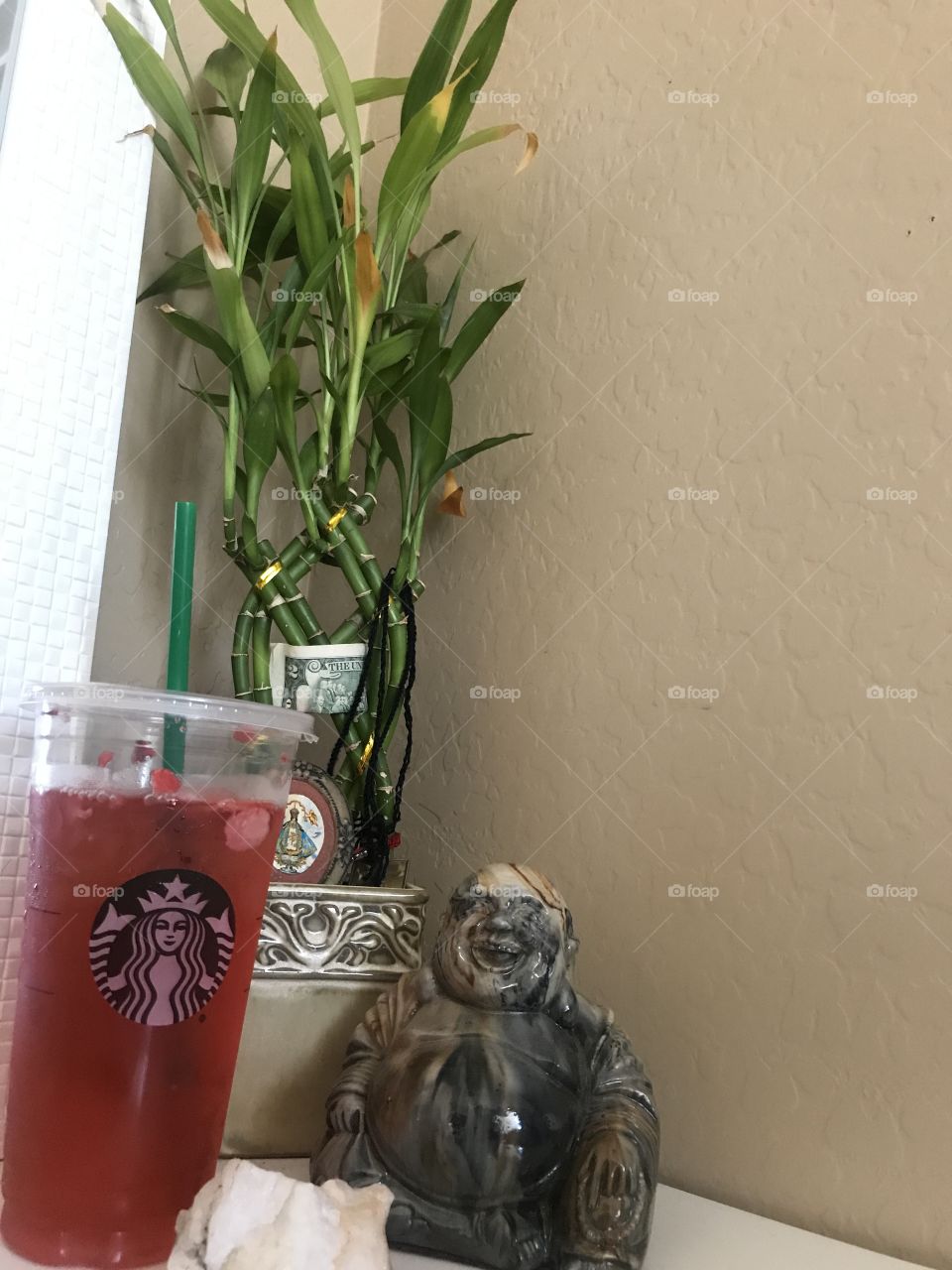 Bamboo plant and Starbucks drink 