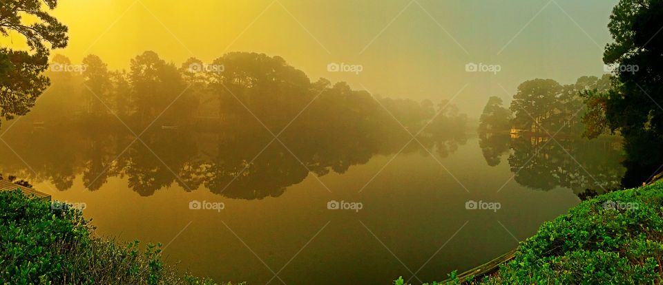 Scenic view of a lake