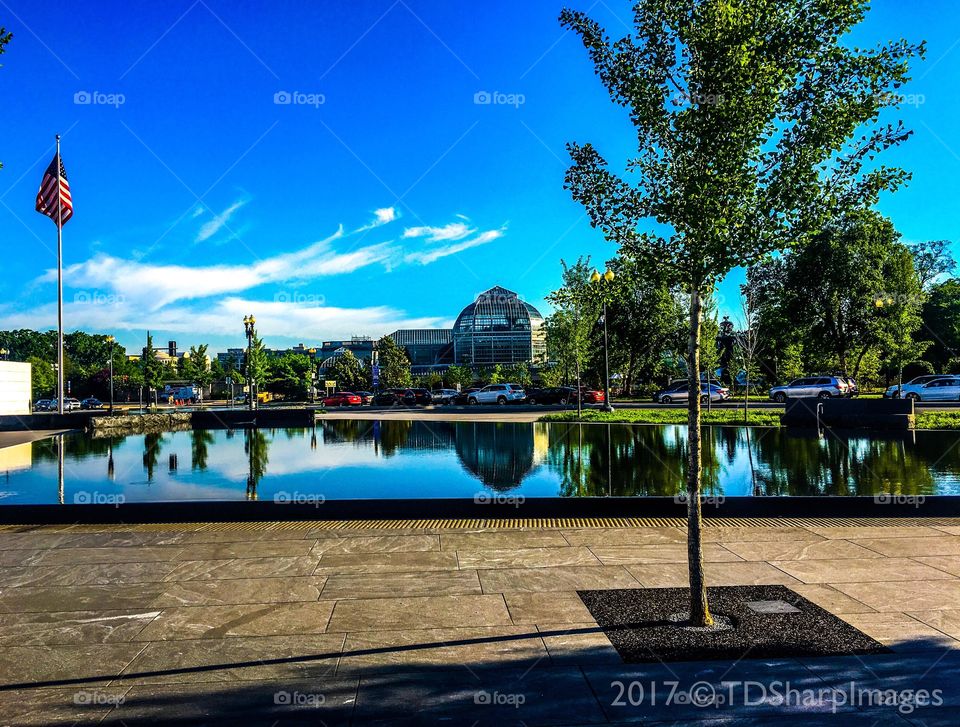 U.S Botanic Garden -  Reflections of a Commute at the Disabled for Life Reflecting Pool