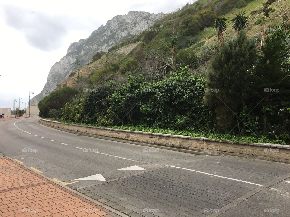 Mountains- trees- green- leaves- clouds- weather- nature -road