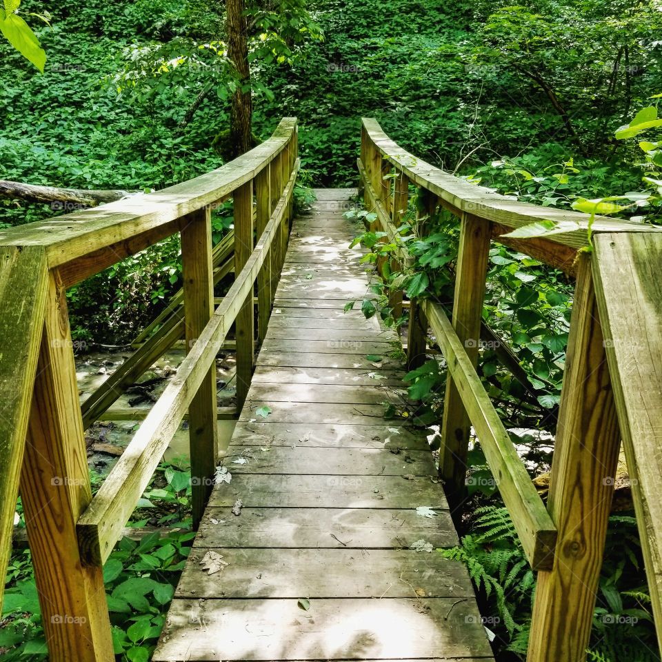 Wooden bridge with railings over a creek in a green forest on a sunny summer day
