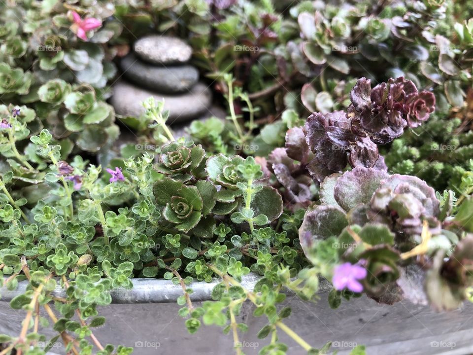 Small stone tower in a bed of succulents in a small container garden