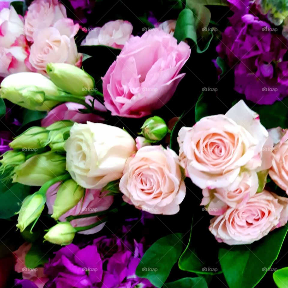 Rose, Bouquet, Flower, Floral, Love