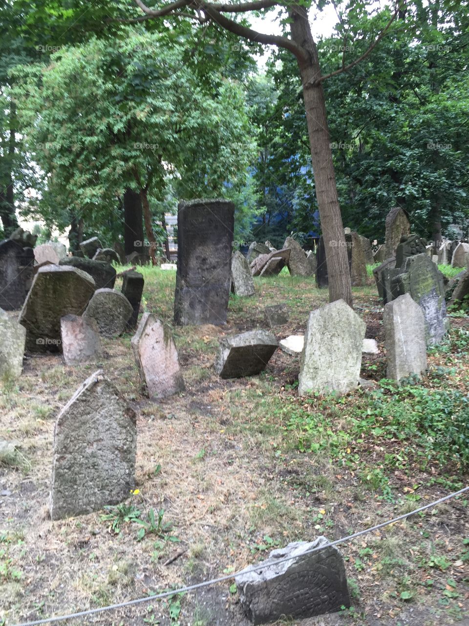 Jewish cemetery