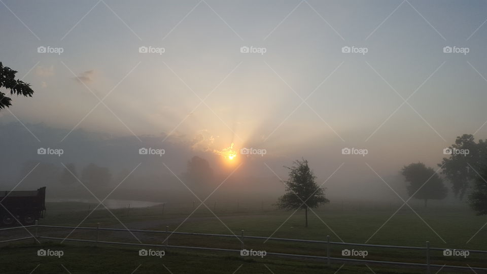 Fog, Sunset, Dawn, Landscape, Sun