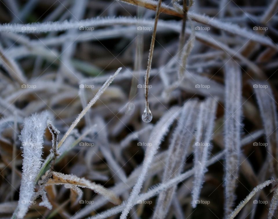 Frost teardrop