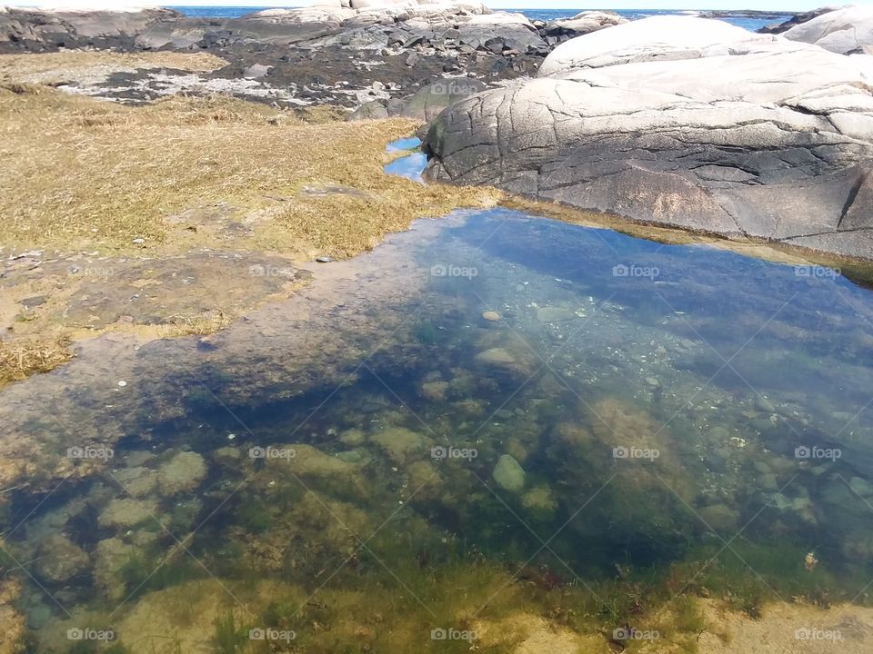 tidepool