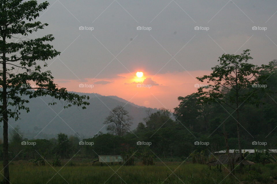 Sunrise in the jungle 