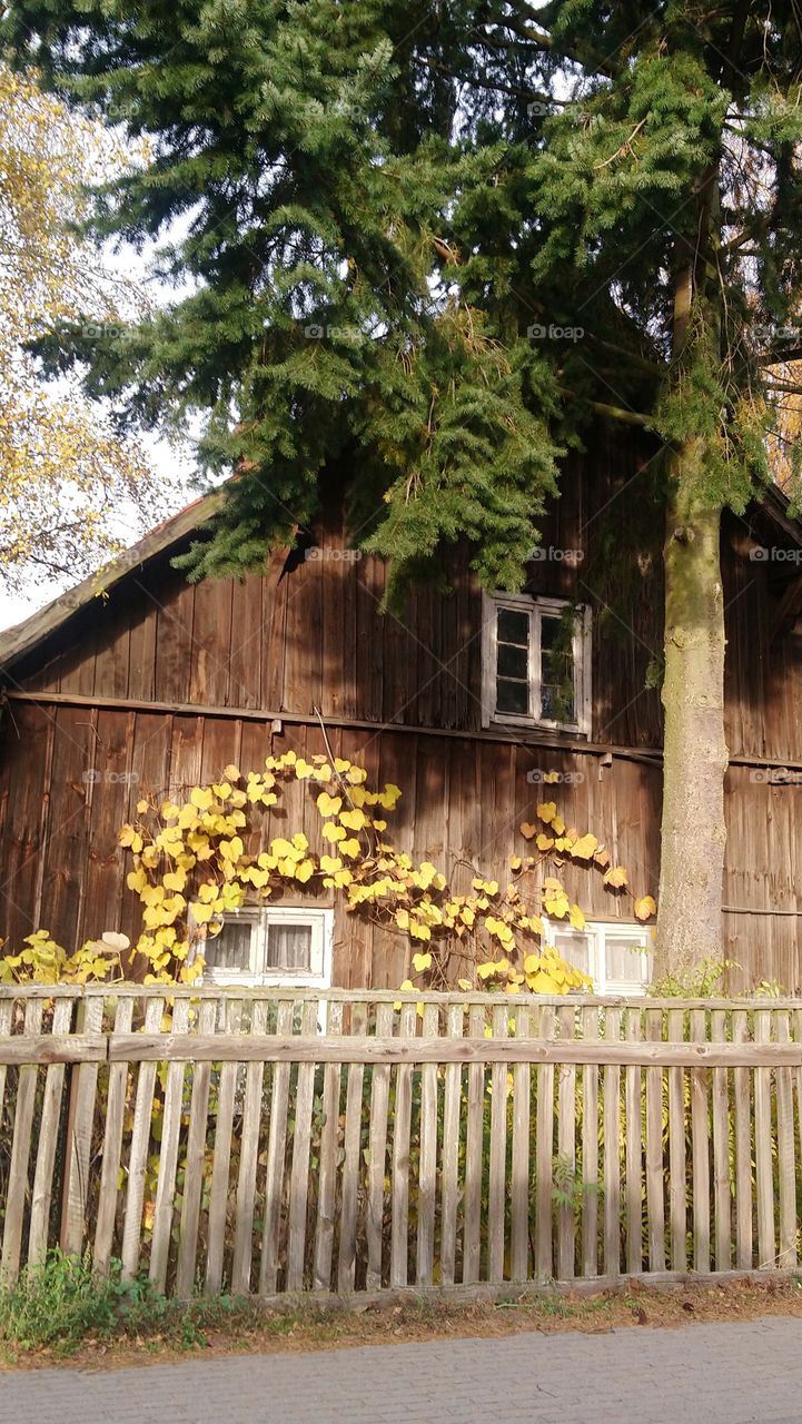 Old house, autumn