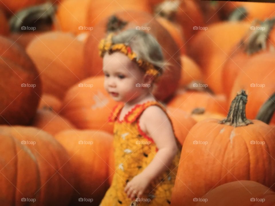 Baby girl in a pumpkin patch 