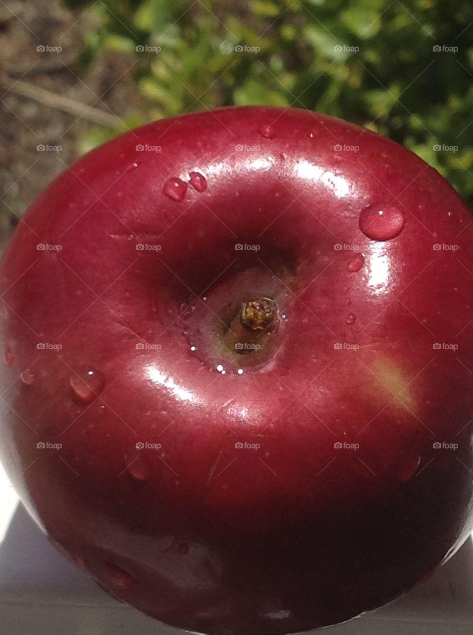 A close up of a delicious red apple.