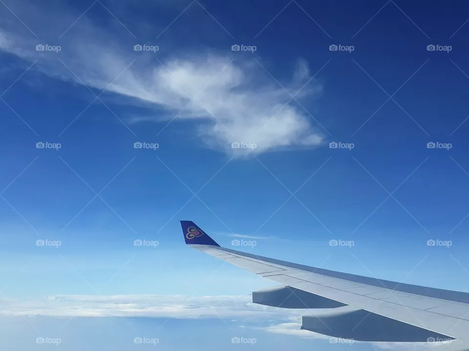 fly