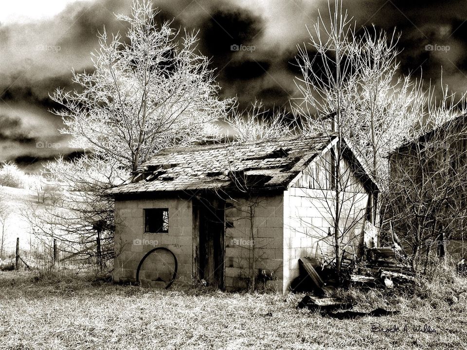 Old rustic shack 
