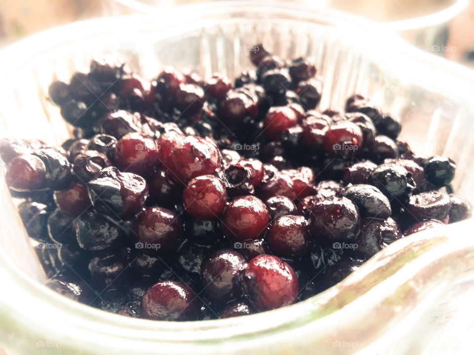 Frozen Blueberries