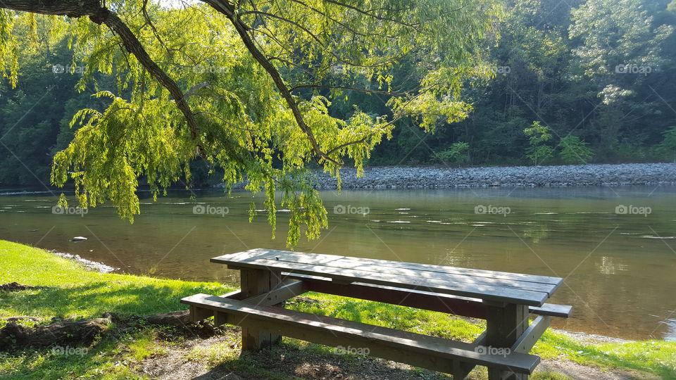 Park bench on the water