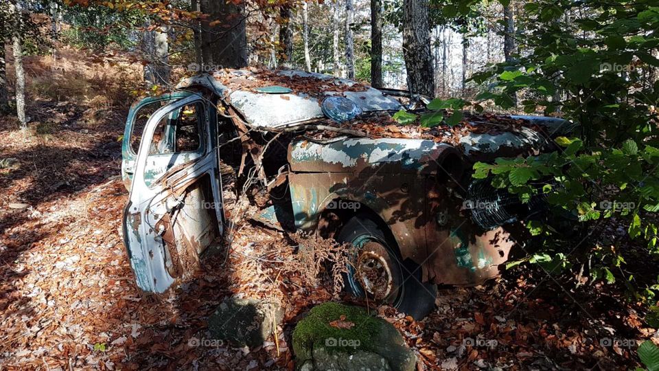 Old rusty car abandoned in the wood